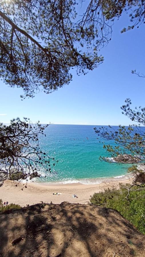 Daro Apartments Platja d'Aro Exterior foto